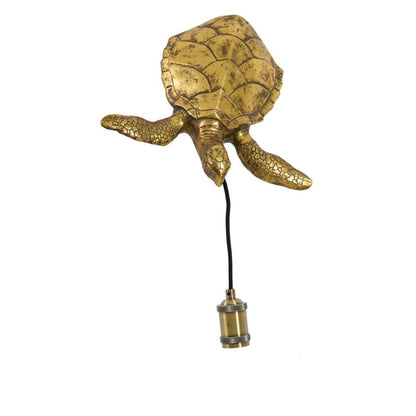 Gigi Brass Decorative Turtle Wall Light Lighting