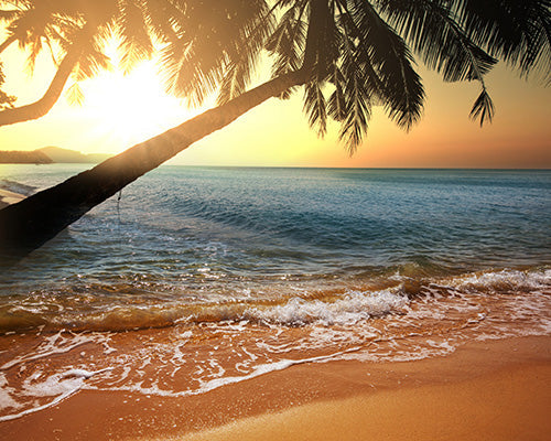 Golden Sands Fragrance Oil 15597
