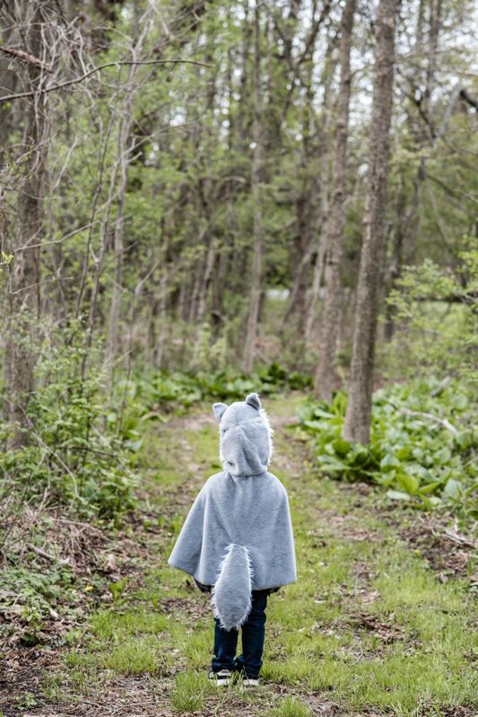 Great Pretender Woodland Storybook Wolf Cape