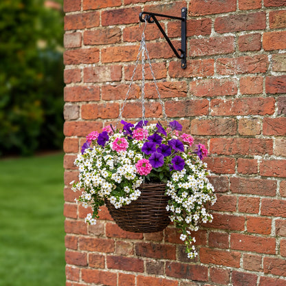 Hanging Basket x12 Plugs