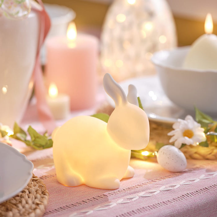 Happy & Hoppy 2 Porcelain Bunny Decorations