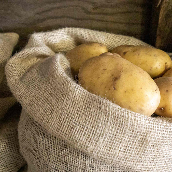 Hessian Sacks