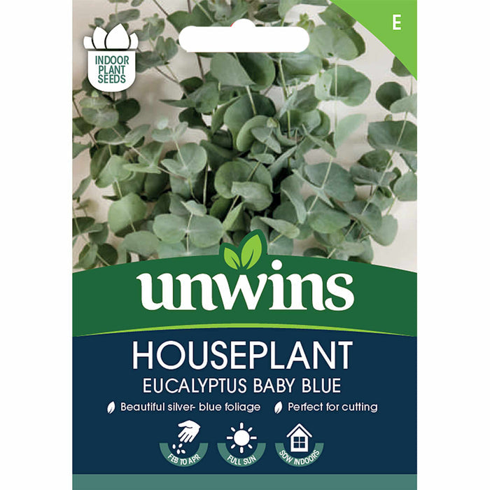 Houseplant Eucalyptus Seeds 'Baby Blue'