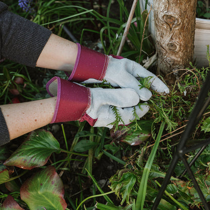 Kent & Stowe All Round Gloves Triple Pack - Plum weeding