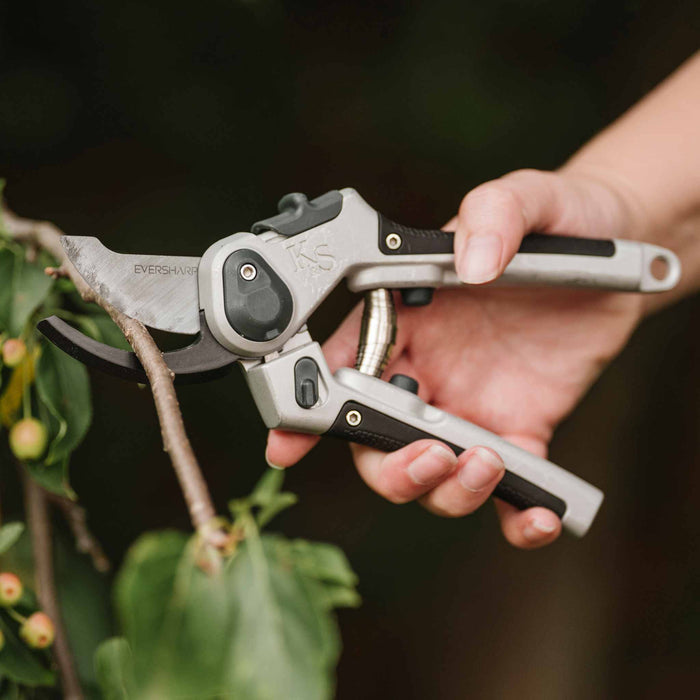 Kent & Stowe Eversharp All Purpose Secateurs