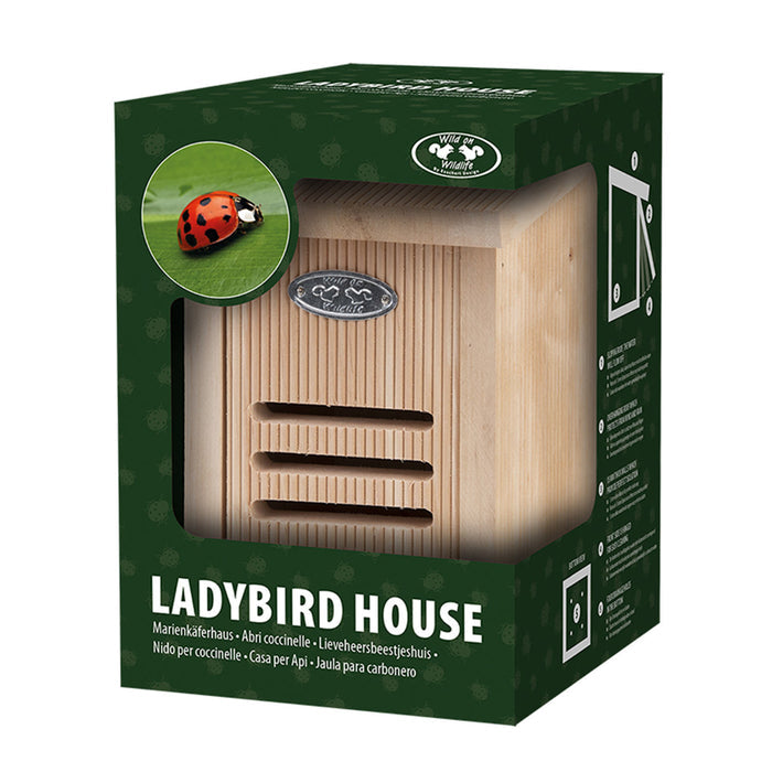 Ladybird House In A Giftbox