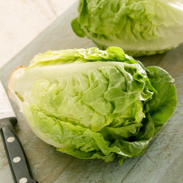 whole Lettuce 'Little Gem' on a chopping board sliced, knife on the side