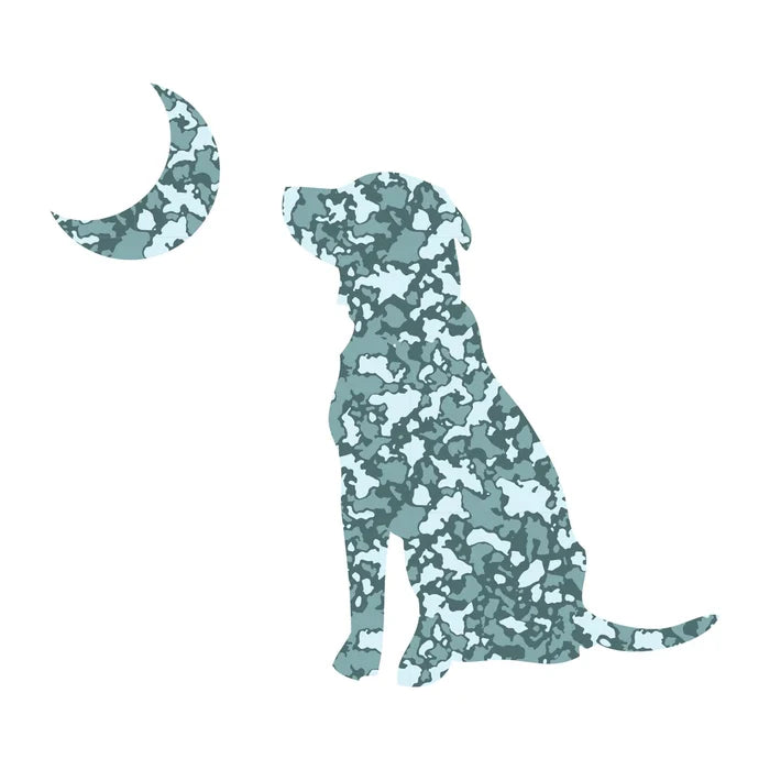 Local Boy Outfitters Dog & Moon Decal