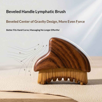 Lymphatic Facial Contouring Brush – Sculpt, Drain & Lift | EELHOE EELHOE COSMETICS