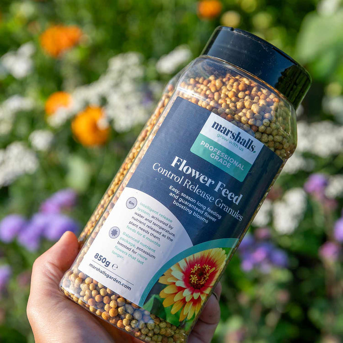 Marshalls Granular Flower Feed