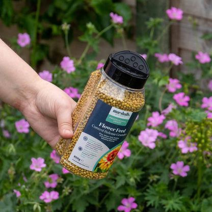 Marshalls Granular Flower Feed