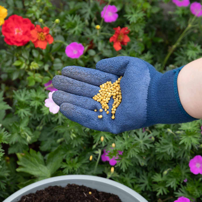 Marshalls Granular Flower Feed
