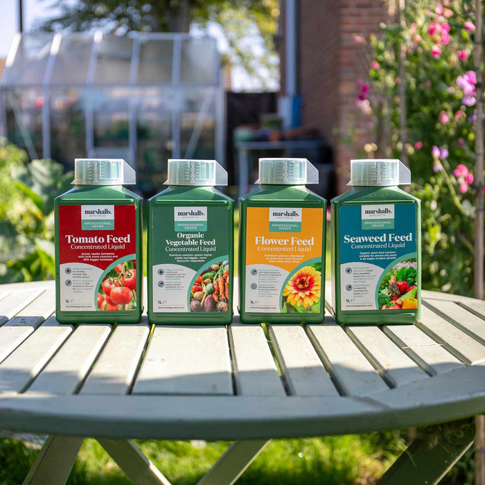 Marshalls Liquid Seaweed Feed