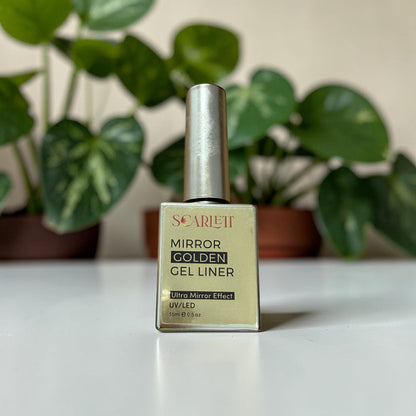 Metallic Gold Champagne/ Silver chrome Painting Gel - 15ml