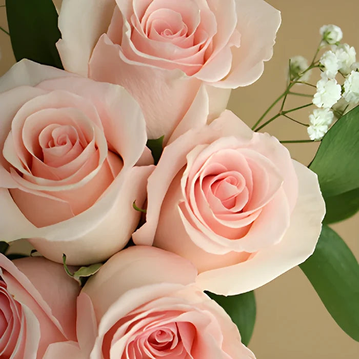 Mother's day dozen orange rose bouquet wholesale flowers