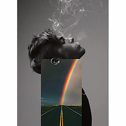 Naro Pinosa Prince Rainbow Postcard