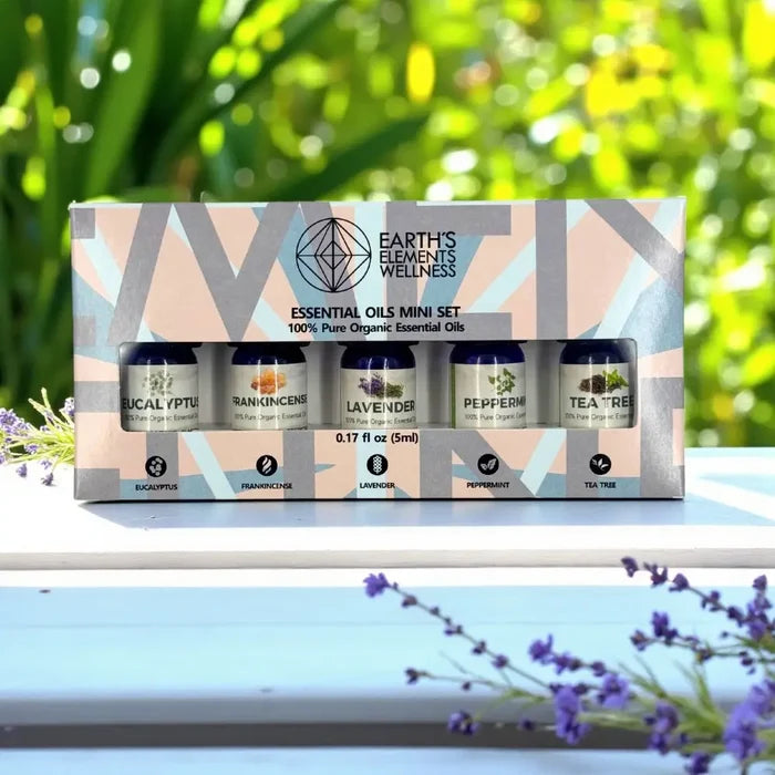 Earth's Elements Wellness essential oils mini set with bottles in a box against a natural background.