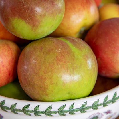 Patio Apple 'Cox’s Orange Pippin'