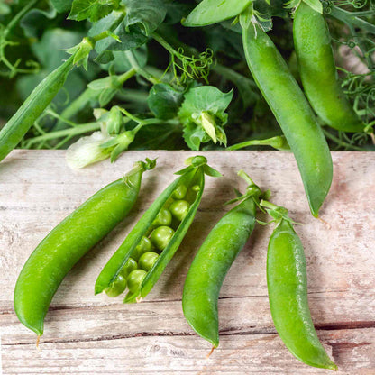 Green peas in pods on a wooden surface with green leaves in the background