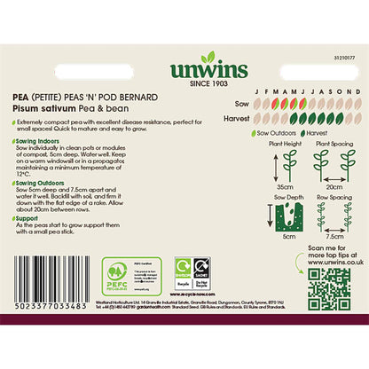 Pea Seeds 'Bernard'