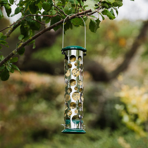 Peckish All Weather Energy Ball Feeder with fat balls in hanging in tree