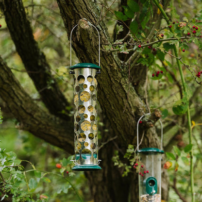 Peckish All Weather Energy Ball Feeder with fat balls in hanging in tree