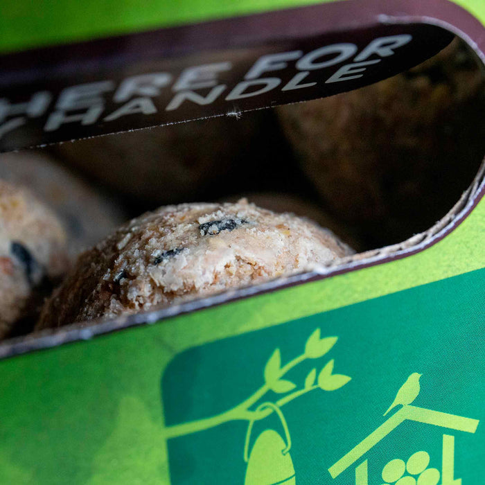 Peckish Natural Balance Energy Balls