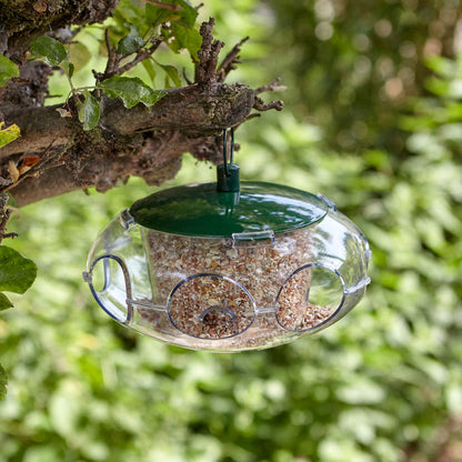 Peckish Small Bird Feeder hanging in tree