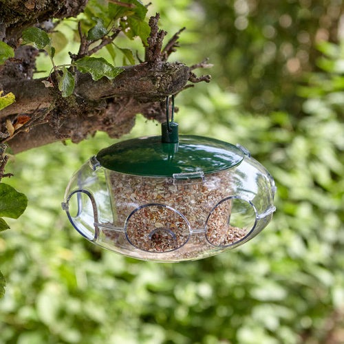 Peckish Small Bird Feeder hanging in tree