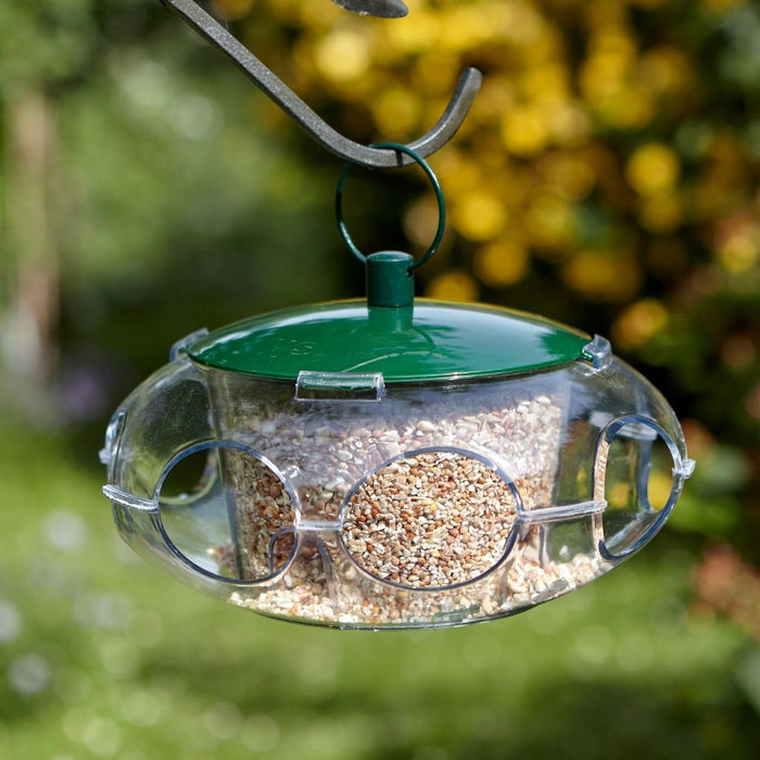 Peckish Small Bird Feeder