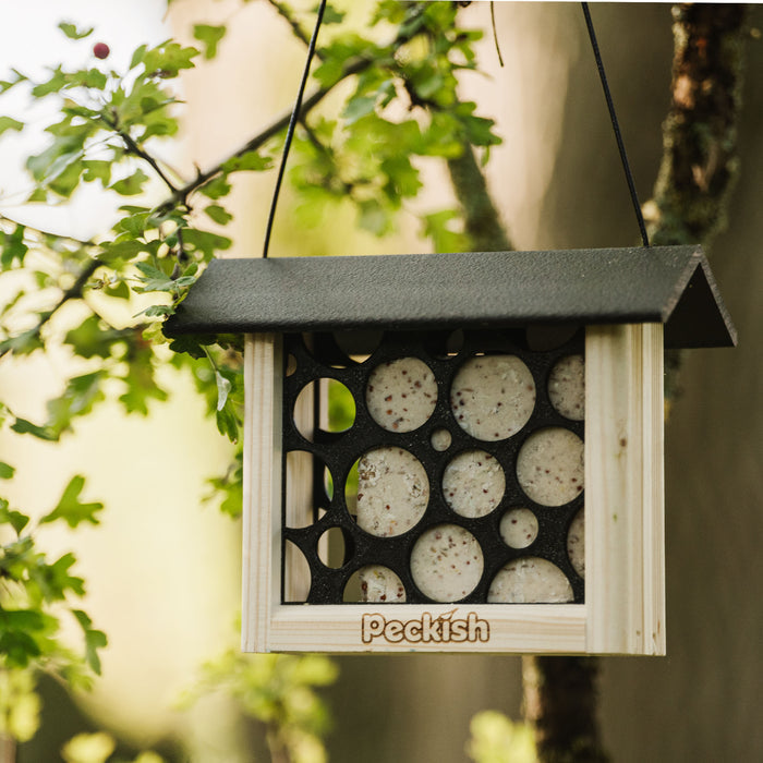 Peckish Woodland Feast Suet Cake Feeder