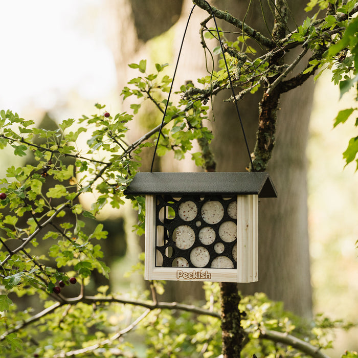 Peckish Woodland Feast Suet Cake Feeder