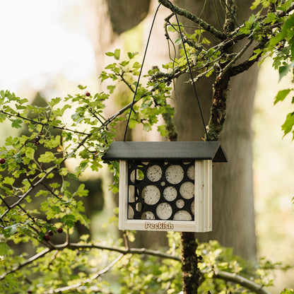 Peckish Woodland Feast Suet Cake Feeder