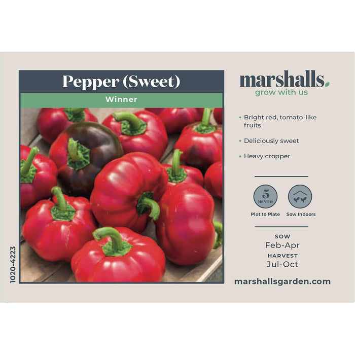 Pepper Seeds 'Sweet Winner'