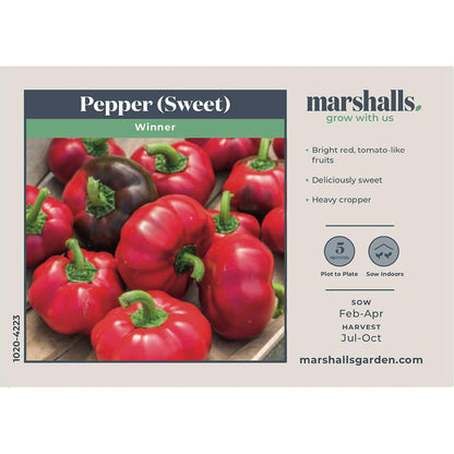 Pepper Seeds 'Sweet Winner'