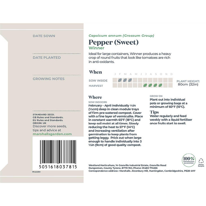 Pepper Seeds 'Sweet Winner'