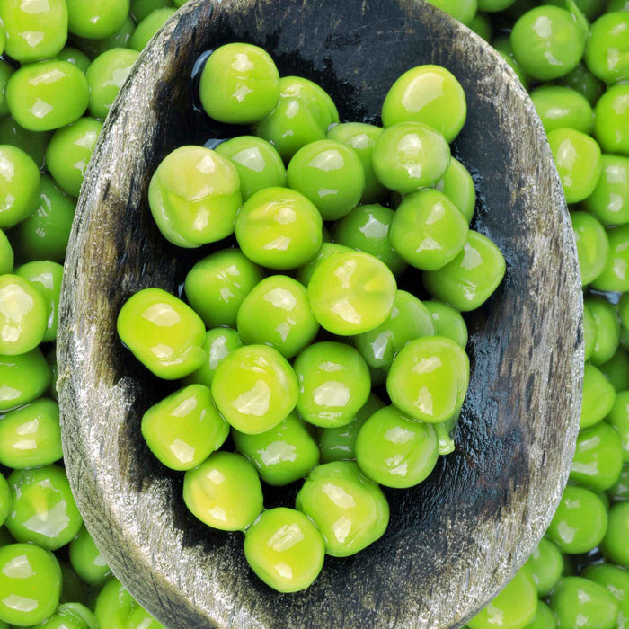 Petit Pois Pea 'Flovert'
