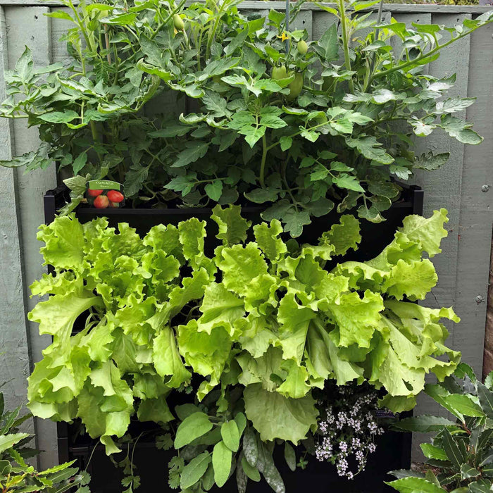 PlantBox Vertical Wall Planters