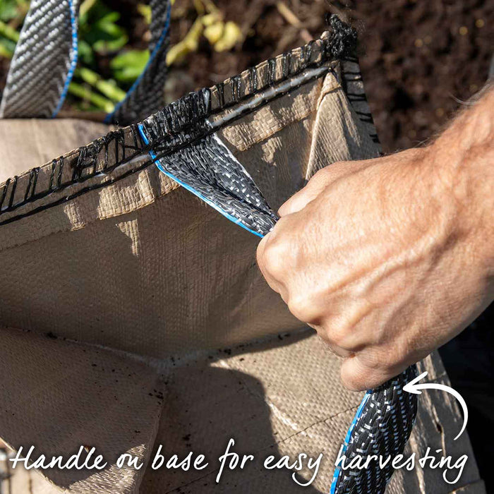 Potato 'Pentland Javelin' Christmas Harvest Grow Kit