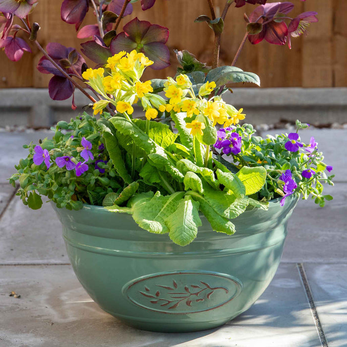 A green ceramic planter filled with yellow primula veris cowslip, purple aubrietia, and burgundy flowering plants, placed on a stone patio in front of a wooden fence.