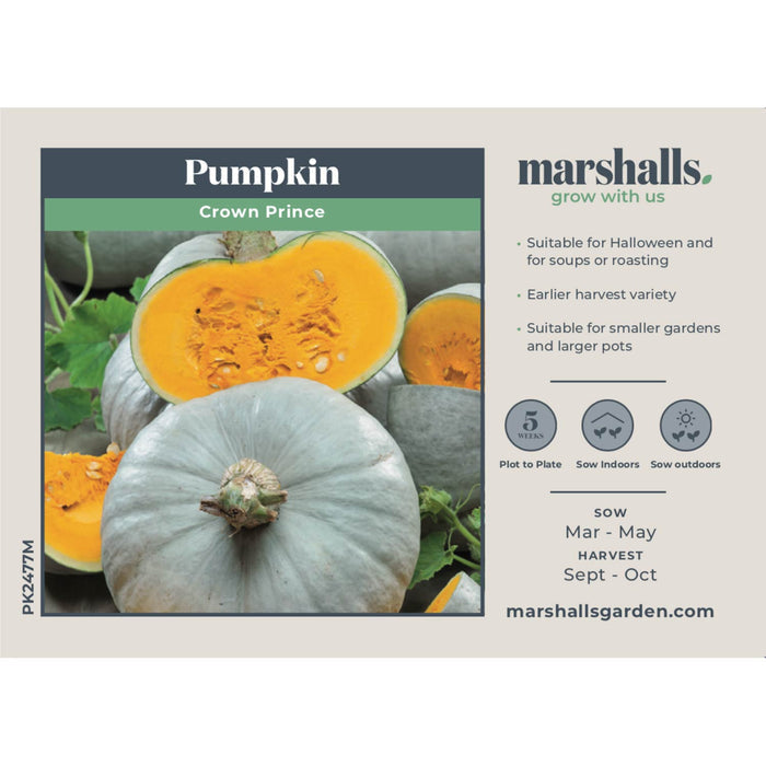 Pumpkin Seeds 'Crown Prince'