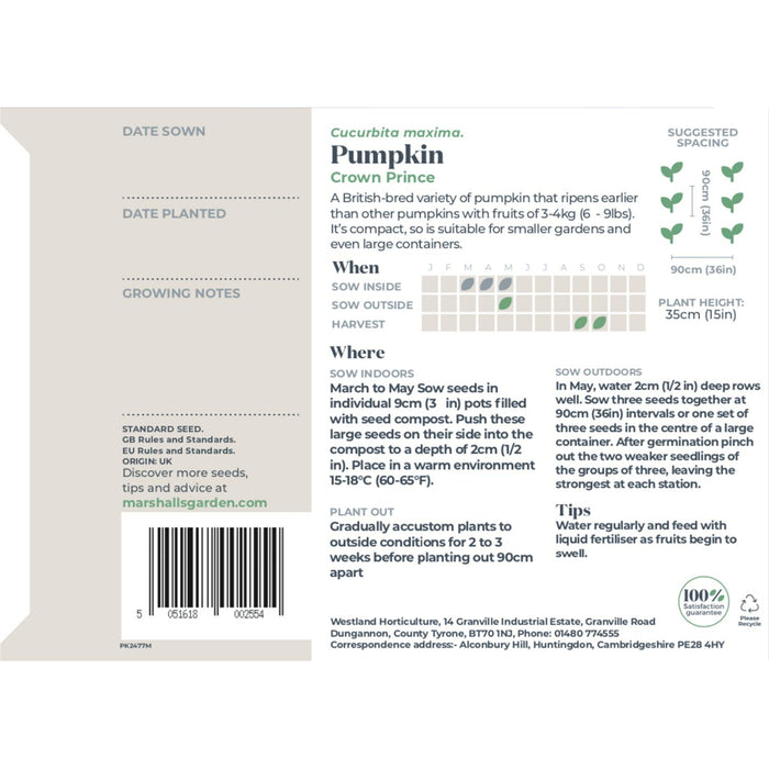 Pumpkin Seeds 'Crown Prince'