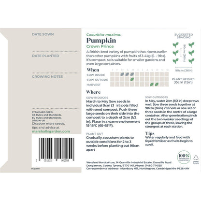 Pumpkin Seeds 'Crown Prince'