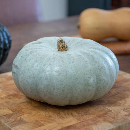 Pumpkin Seeds 'Crown Prince'
