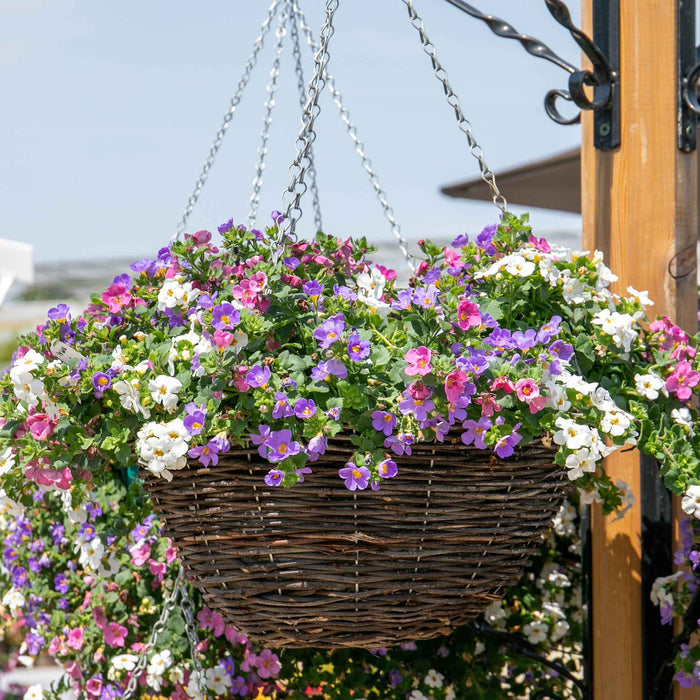 Rattan Round Hanging Basket