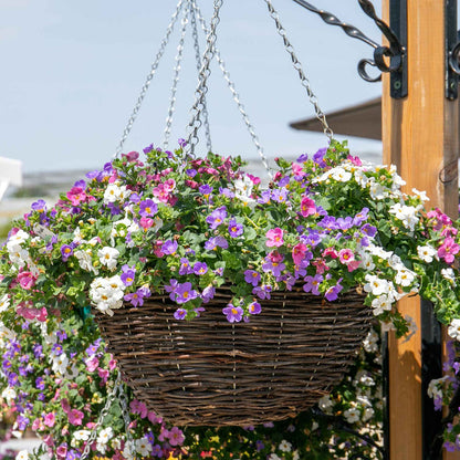 Rattan Round Hanging Basket