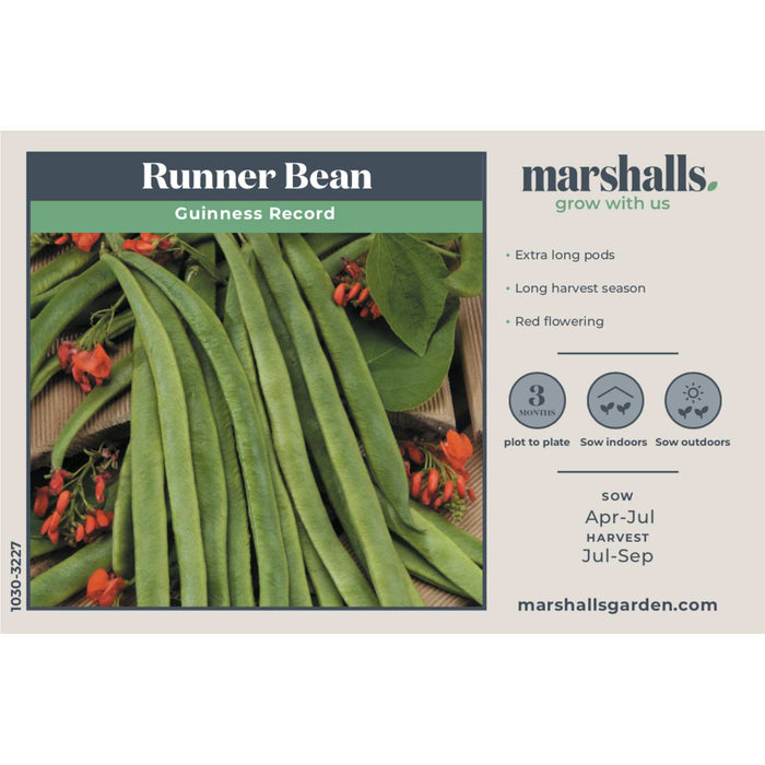 Runner Bean Seeds 'Guinness Record'