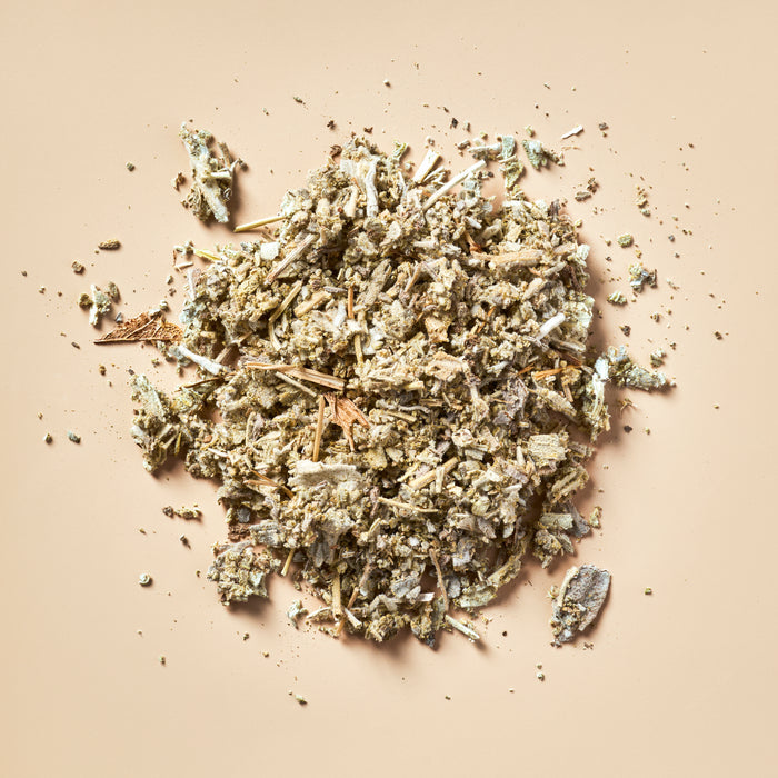 Sage - Botanical