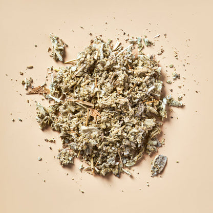 Sage - Botanical