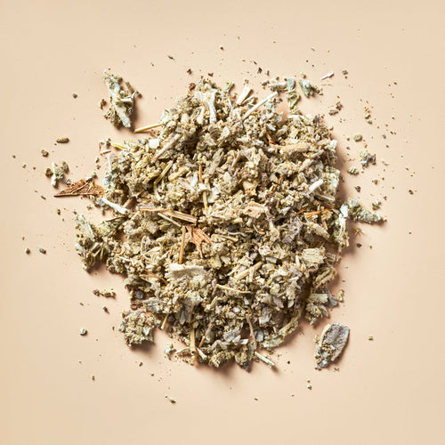 Sage - Botanical